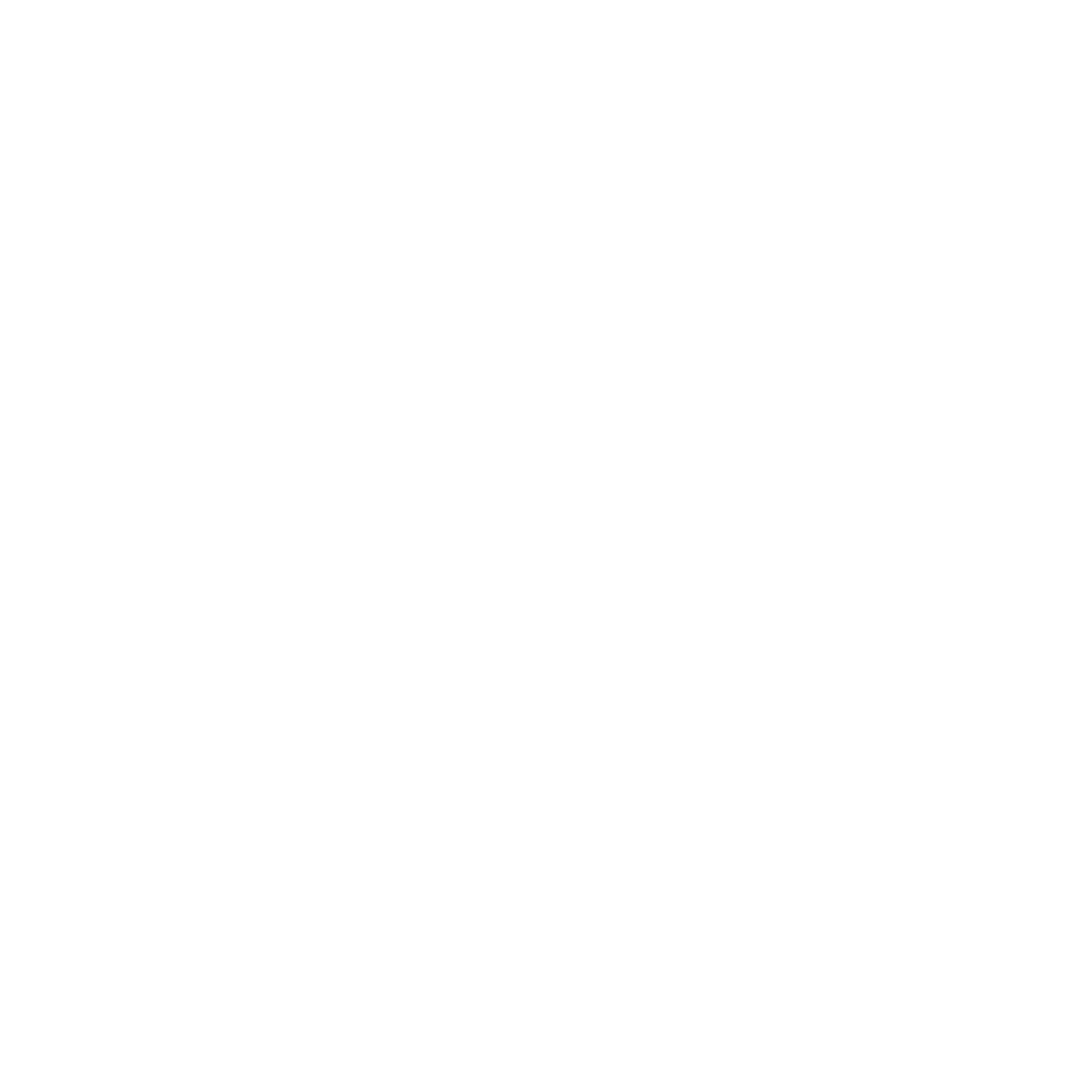 ikona facebook
