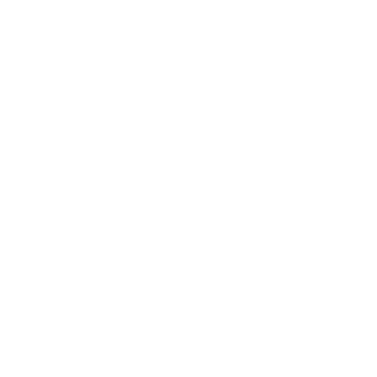 ikona instagram